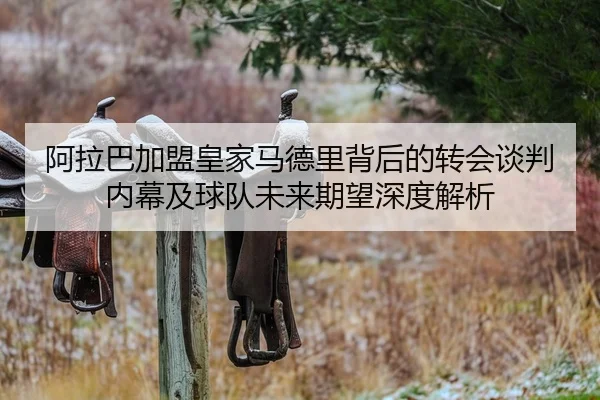 阿拉巴加盟皇家马德里背后的转会谈判内幕及球队未来期望深度解析